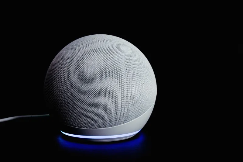Always Listening, Always Learning: What Your Voice Assistant Knows That You've Never Told It